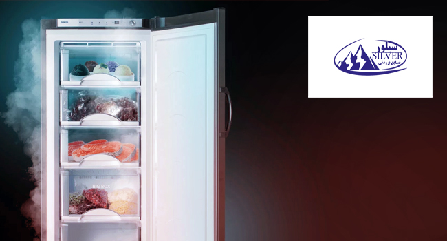 طراحی سایت فروشگاه سرویس بهداشتی سیلور