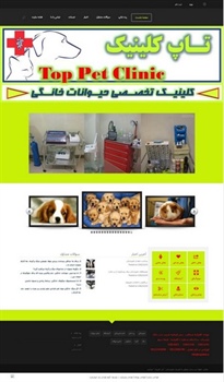 طراحی وب سایت کلينيک تخصصي تاپ کلينيک
