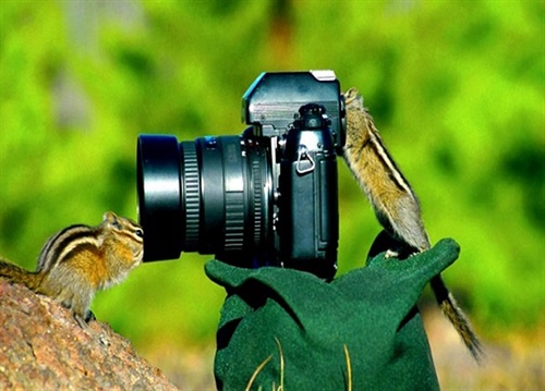 آموزش عکاسی طبیعت