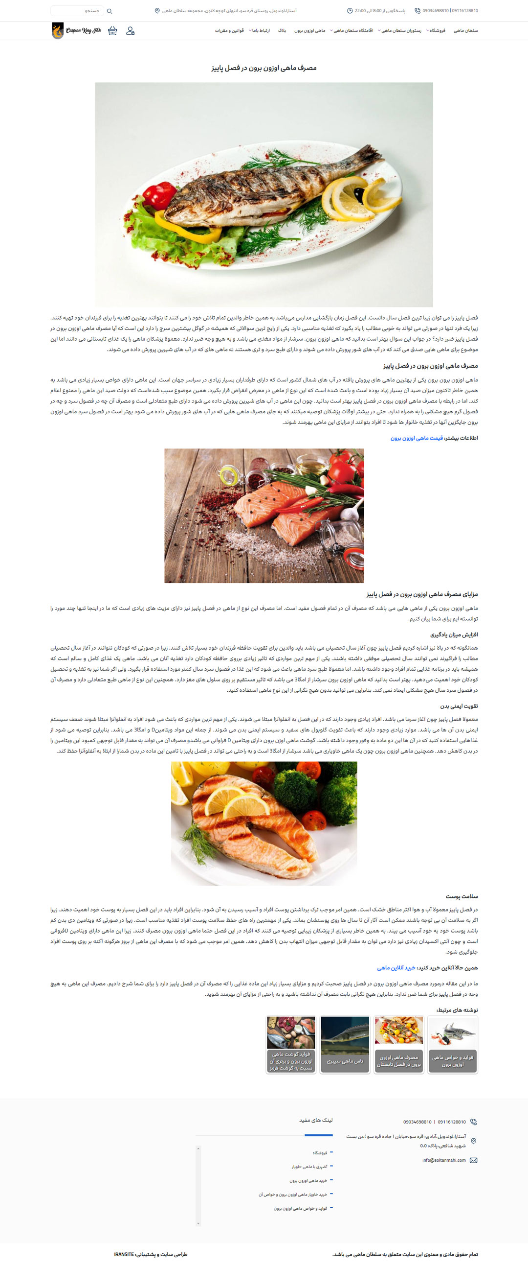 طراحی سایت وردپرس فروشگاه سلطان ماهی